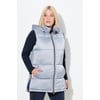 Gris Argent