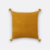 Jaune bronze