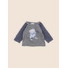 Gris