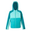 Turquoise Vif / Bleu Ciel / Bleu
