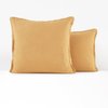 Jaune Ocre