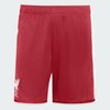 Active Maroon