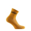 Ocre