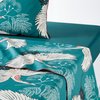 Teal Print