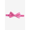 Rose Fuchsia