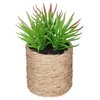 Petite plante artificielle