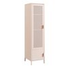 Rose Blush / Tcx 14-1312