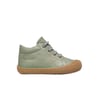 Sage-