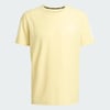 Powder Yellow