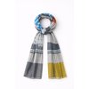 Rayures Multicolores