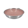 Inox-Rose