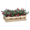 Multicolore