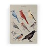 Imprimé Oiseaux