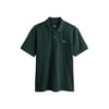 Lierre Vert