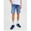 Bleue - Blue Denim 1