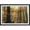 Affiche + Cadre En Bois - Noir