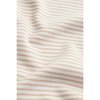 Zèbre Gris