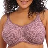 Rose  - Dusky Leopard
