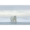 Tableau Alu Dibond