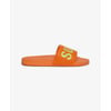 Orange Sorbet