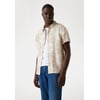 Marron Multi