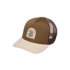 Marron Winter Moss