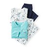 Lot Bleu Feuillage