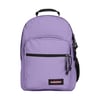 Violet/Purple