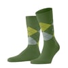 Bambou Vert