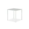 Blanc, Verre Gris Clair