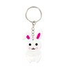 Lapin