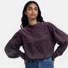 Violet Aubergine