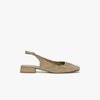 Gris Taupe