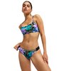 Violet Viola Golden Gal S