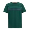 Vert Sarcelle
