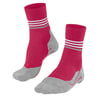 Rose Ancienne