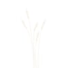 Tableau Alu Dibond