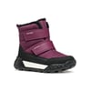 Violet Foncé/Fuchsia