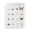 Imprimé Insectes