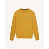 Ocre