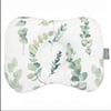 Eucalyptus, Vert, Gris