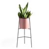Roze vaas