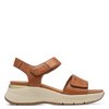 Marron Noix