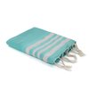 Vert Turquoise / Argent