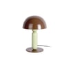 Brun Chocolat