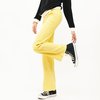 Jaune Poussin