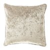 Pumice Stone