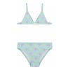 Bleu Sarcelle