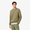 Sweat Lacoste vert