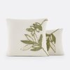 Blanc/Vert